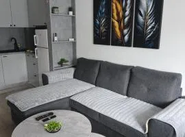 Apartman Dioniz Fojnica