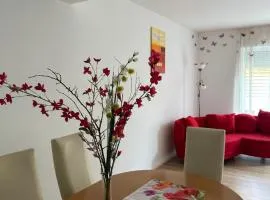 Luxury rooms in a newly-built House