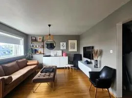 Your Icelandic home in Reykjavik