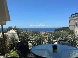 Nicks sea view appartement II
