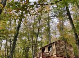 Cabanyes entre Valls