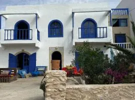 Dophin Hostel