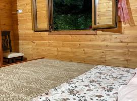 Wood Cabin Llogara, hotel v destinaci Vlorë