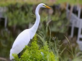140 Capt John Fripp Villa, hotel in Fripp Island