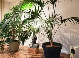 Oase der Ruhe- Übernachten in der Gesundheitspraxis im Herzen von Basel