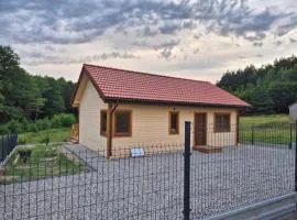 Domek w Skolitach