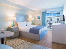hotel pant