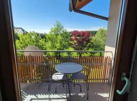 SBE Rooms - Near Salzburg And Lakes