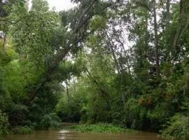 El Domo y La Petaca Delta del Tigre