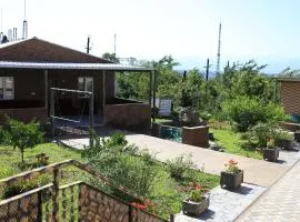 Sun-Kissed House