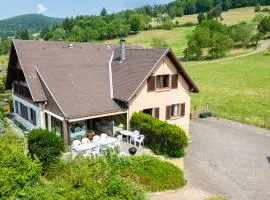 Maison de charme 300m2 Haslach 15 personnes grande salle à manger - Belles vues !