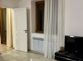 Северный проспект