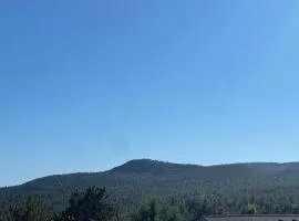 Elk Rim 1156 Pine