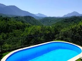Dalmatian Green Peak