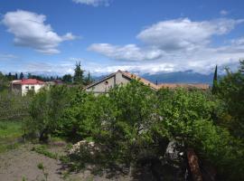 Lorenzo Budget Hostel, hotel en Telavi