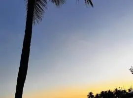 LEME Casa 11