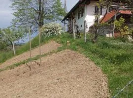 Holiday Home Carovina