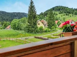 Awesome Home In Mrkopalj With Kitchen