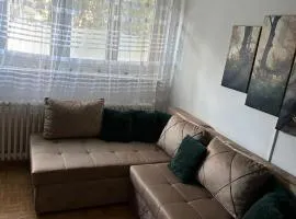 Exit festival apartment