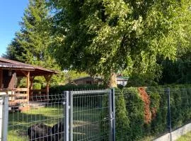 Letnisko na Pierkunowie