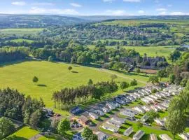 Witton Castle Country Park