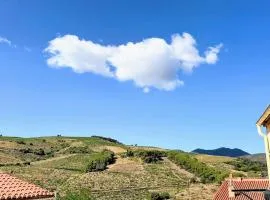 Villa spacieuse à Banyuls-sur-Mer, 6 personnes - FR-1-309-532