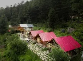 Himalayan Cedar Nest