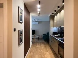 Nowa Dzielnica Cztery Apartamenty przy Tężni