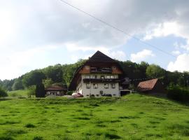 Heizmannshof, hotel in Hofstetten