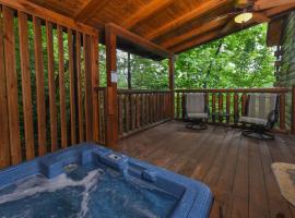 Bear Elegance: Gatlinburg şehrinde bir kul&uuml;be