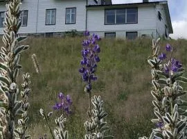 Stall Rygg Apartment, Gloppen