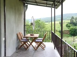 Tesaran Stepanavan Guest House, Apart Hotel