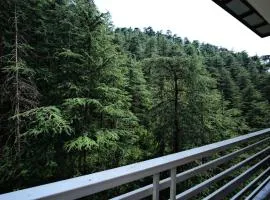 Decent BnB Shimla !! Private Balcony rooms !! Pine Tree View !! 3 BHK Apartments