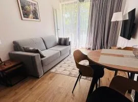 Apartament Michałek MountainAparts
