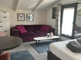 Trendy studios Tassin