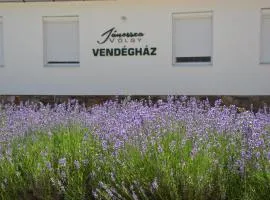 Jánossza-völgy Vendégház
