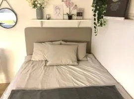 Modern 1-room apartment