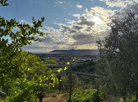 Forma Alta 59 Vineyard Reserve