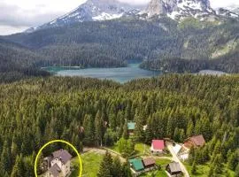 Apartment Durmitor
