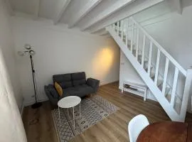 Duplex place Louis XI Orléans