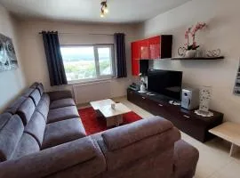 Apartment Svoboda