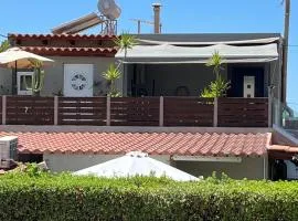 Olga's front yard