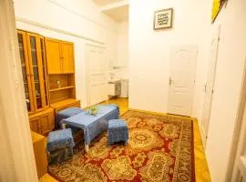 Center apartment 1 bedroom privite use Spring room