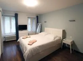 Hotel du Lac Grandson