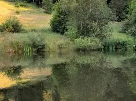 RELAX CHALET Nature Retreat - isolé sur 3 hectares - confort de LUXE - maison entière 150m2 - près de La Bresse
