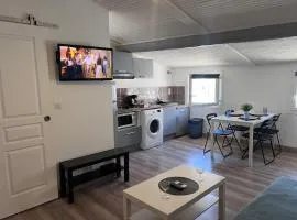 Studio lumineux avec chambre