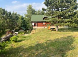 Kraljeva breza, villa in Divčibare