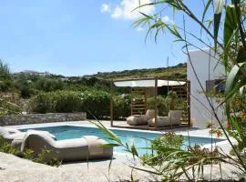 Executive Paros Villa Villa Aiolos Private Pool & Jacuzzi Villa Kostos Damouli