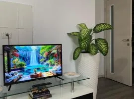 MAin Apartment