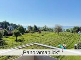 Ferienapartment Panoramablick - gemütlicher Rückzugsort mit Ausblick